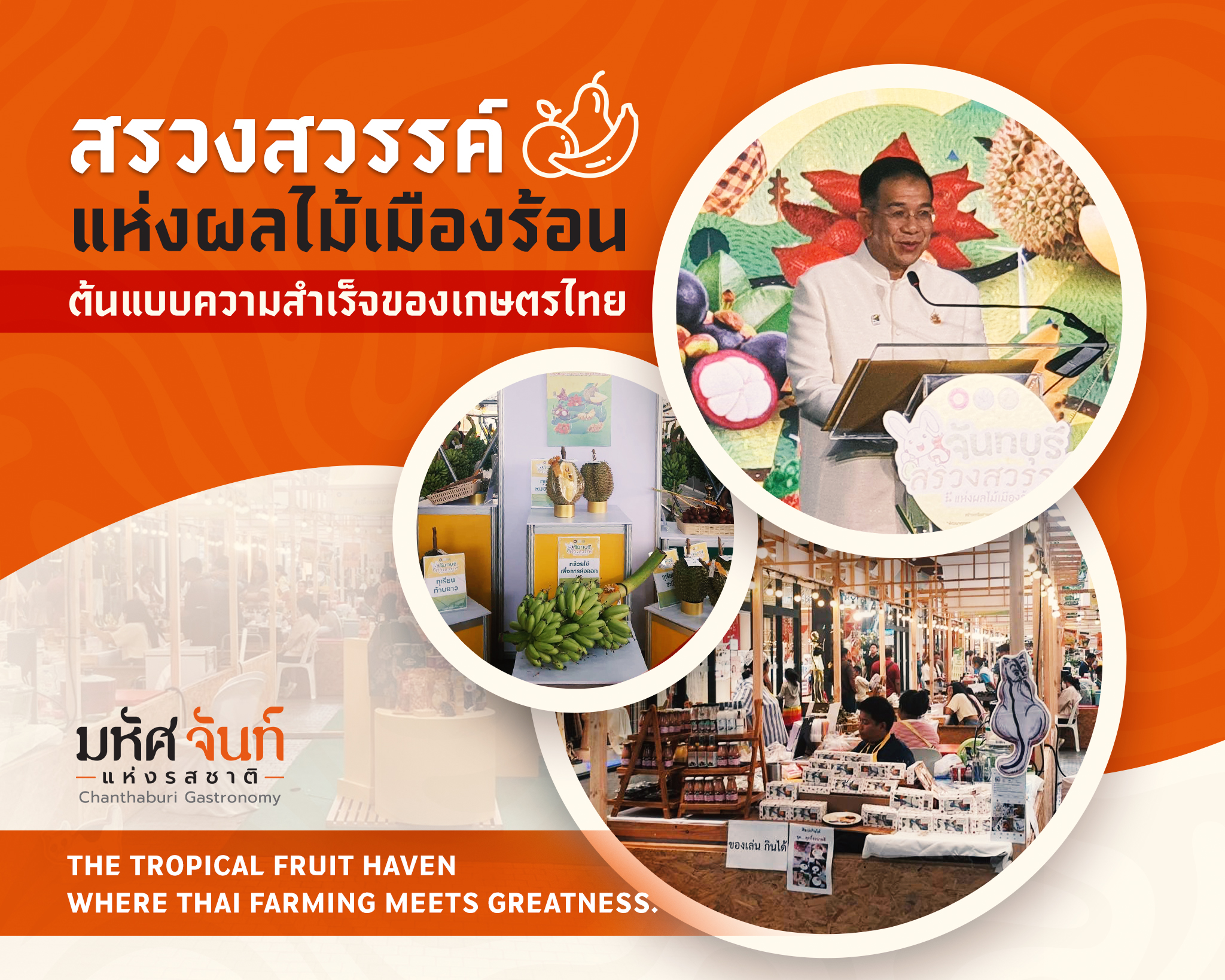 ผลไม้เมืองร้อน
